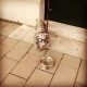 Instagram Odeonsplatz