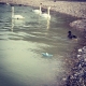 Instagram Flaucher