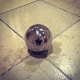 Abraham Cruzvillegas im Haus der #Kunst #art #artist #kugel #spiegel #mirror #bowl #nice