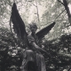 #engel #angel