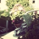 #hot #summer #chucks