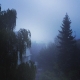 What the #fog ? it's so #quiet no #cars no #birds only #airplanes